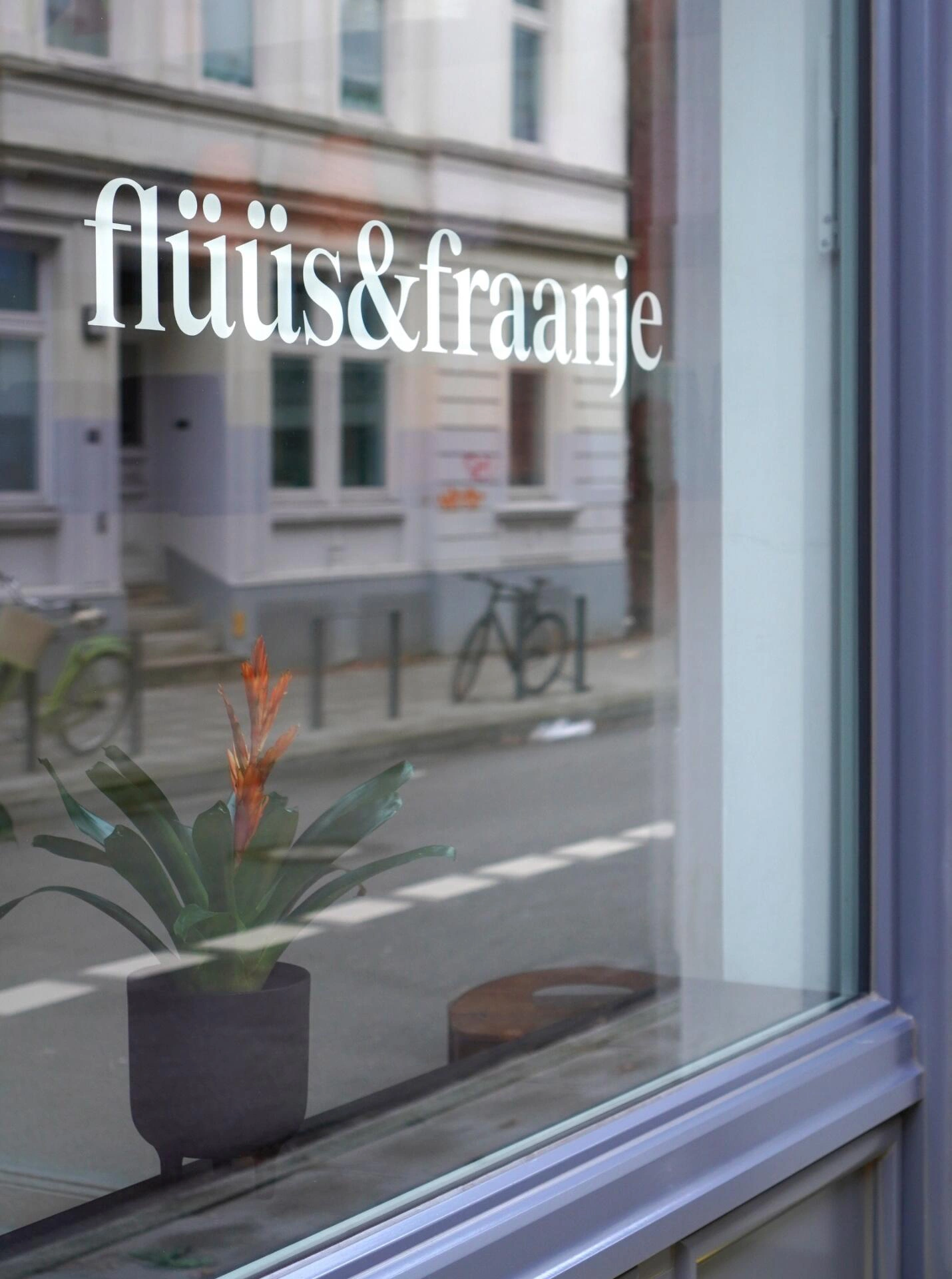 fluus & fraanje shop window